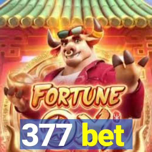 377 bet